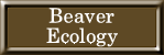 Beaver Ecology