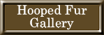 Hooped Fur Gallery